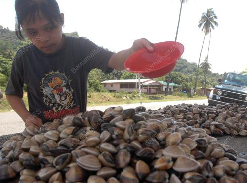 KEPAH