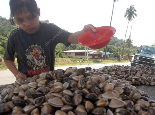 KEPAH