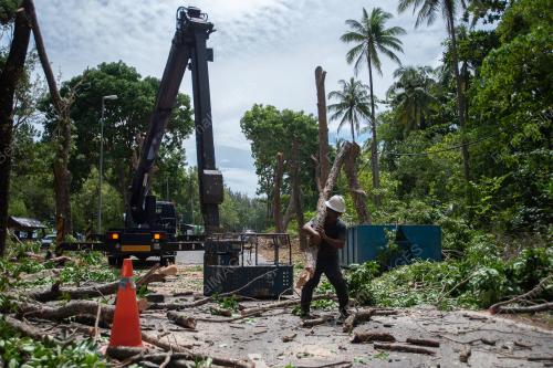 PENEBANGAN POKOK