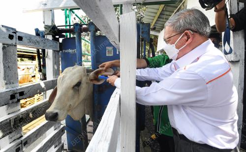 DATUK SERI MUSTAPA MOHAMED