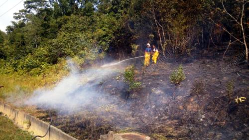 SB03_22032016_FIREMEN