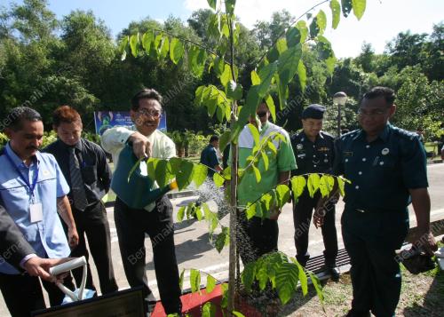 MUSA AMAN