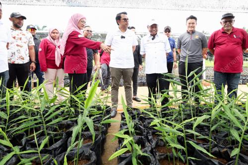 DATUK MOHAMMAD YUSOF APDAL