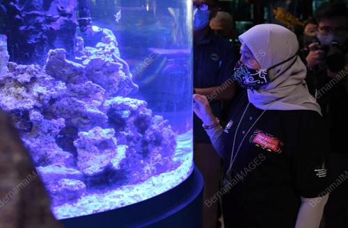 DATUK SERI NANCY SHUKRI
