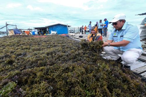 RUMPAI_LAUT