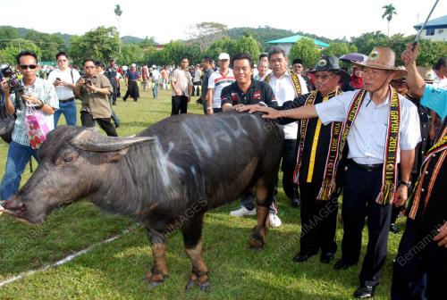 DATUK JOSEPH SALANG