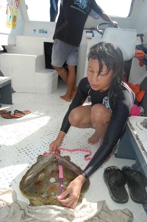 EKSPEDISI PULAU SIPADAN