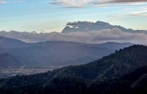 TAMBUNAN_SABAH