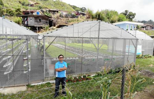 TANAMAN SAYUR KUNDASANG