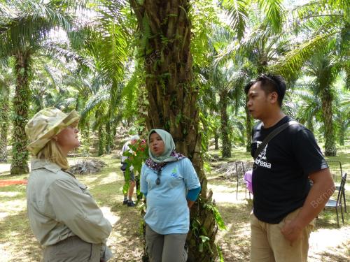 SB03_29042016_SUNGAI
