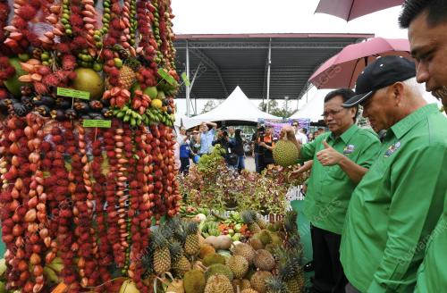 SB03_29082019_BUAH