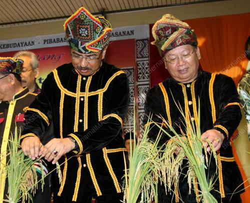 MUSA AMAN