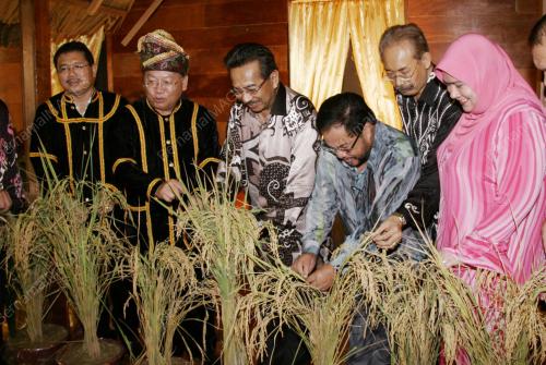 MUSA AMAN