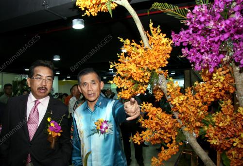 DATUK SERI MUSA AMAN