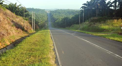 SB04_02032013_SUNYI2