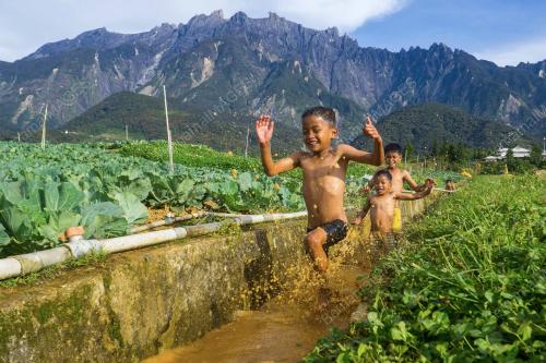 INDUSTRI SAYUR KUNDASANG