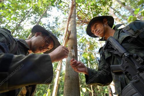 SB04_04032019_OPS_BELANTARA