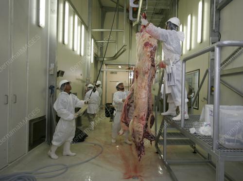 PUSAT TEKNOLOGI DAGING SABAH