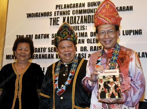 DR RAIS YATIM