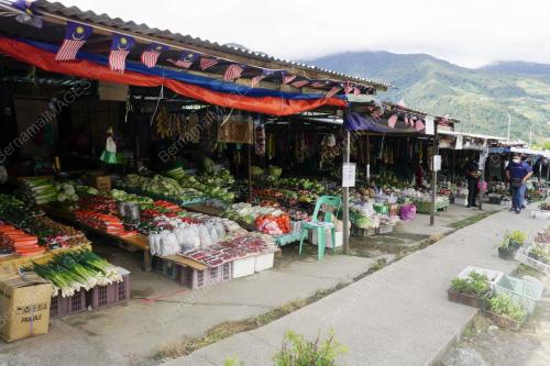 PENIAGA SAYUR KUNDASANG