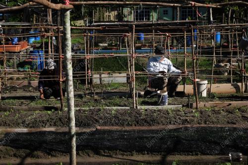 KEBUN KOMUNITI PERTANIAN BANDAR