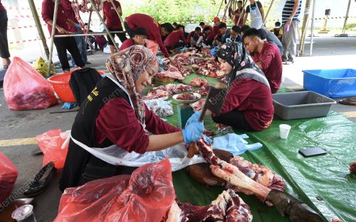 SB04_12082019_KORBAN