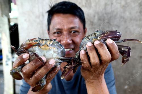 KETAM LEMBUT