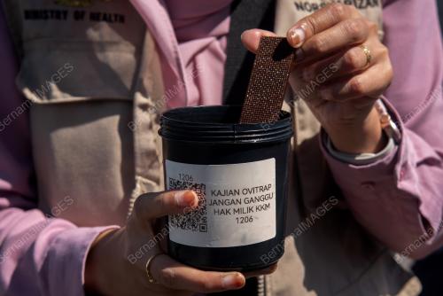 OVITRAP _AEDES DENGGI KKM