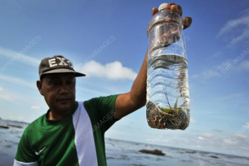SAPAR SABTU