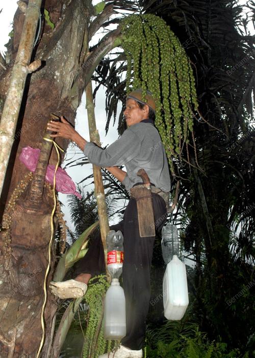 NURDIN BADDUSA