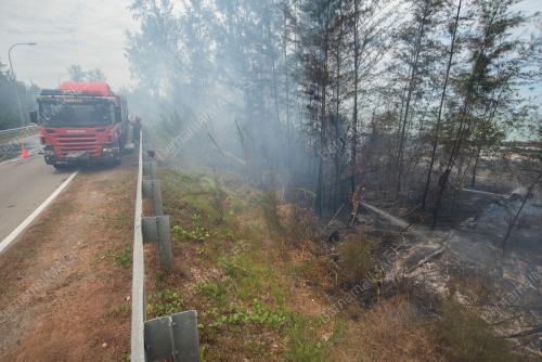 KEBAKARAN HUTAN MUSIM KEMARAU