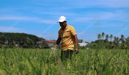 SMART SAWAH BERSKALA BESAR
