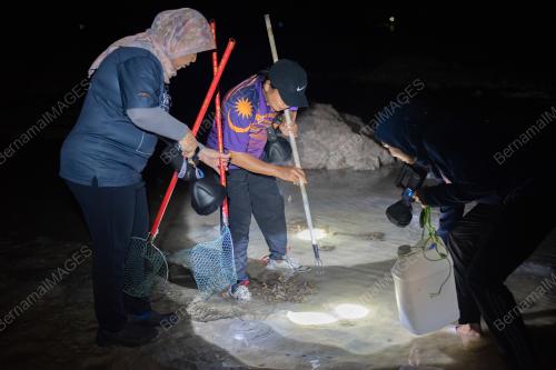 AKTIVITI MENYULUH KETAM
