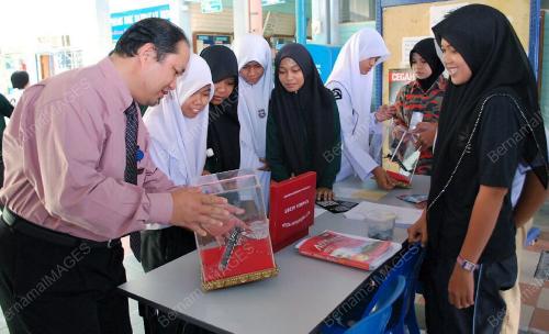 NYAMUK AEDES