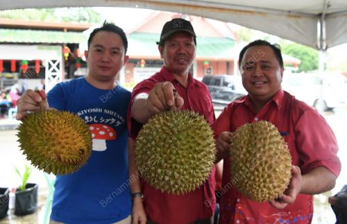 SB04_26012019_DURIAN