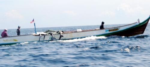 SB04_27072016_SHARK