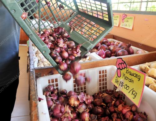 HARGA BAWANG MERAH NAIK