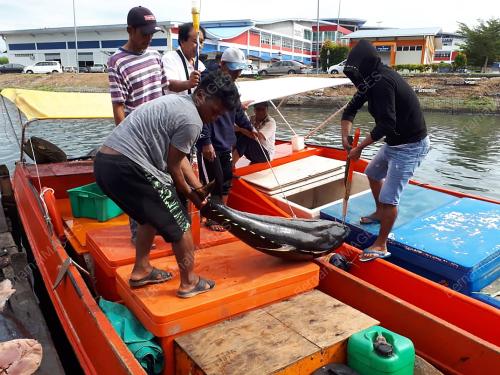 SB04_30102019_TUNA_LABUAN