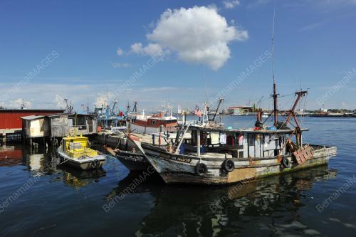 FISHERIES ECONOMY - CMCO