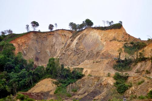 SB05_03072019_CEROBOH