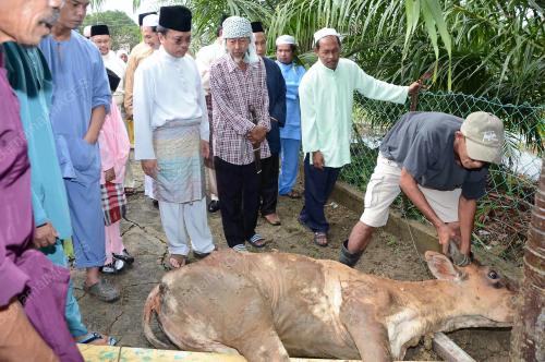 SYAFIE-KORBAN