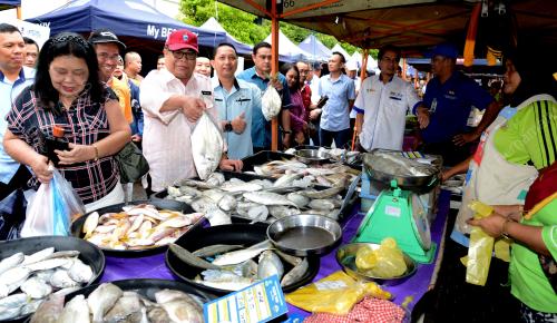 SB05_07022018_YAHYA_IKAN
