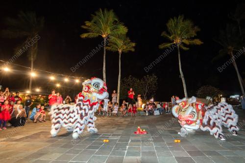 CHINESE NEW YEAR EVE LION DANCE