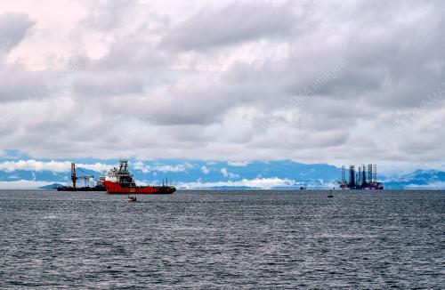COVID-19_SHIPS