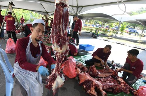 SB05_12082019_KORBAN