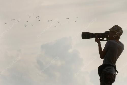 ASIAN WATERBIRD CENSUS 2023_LABUAN