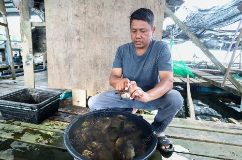 KETAM LEMBUT