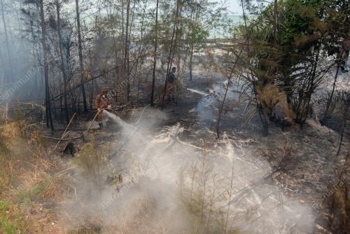 KEBAKARAN HUTAN MUSIM KEMARAU