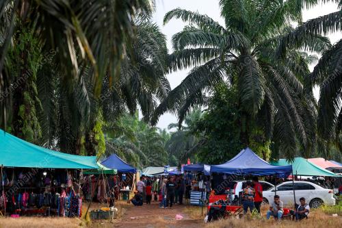 PASAR_TAMU20