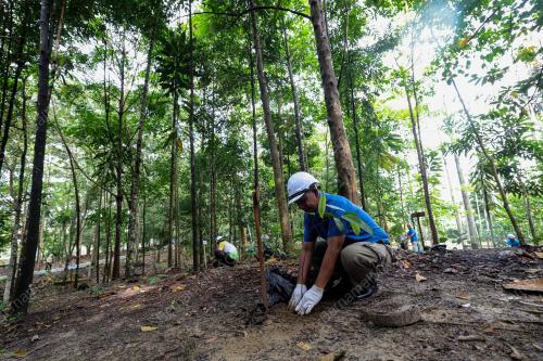 HARI HUTAN ANTARABANGSA